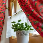 Casa vacanze Anielskie - Z Widokiem Na Gory