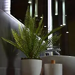 Anielskie - Z Widokiem Na Gory