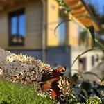 Anielskie - Z Widokiem Na Gory * Sablówka