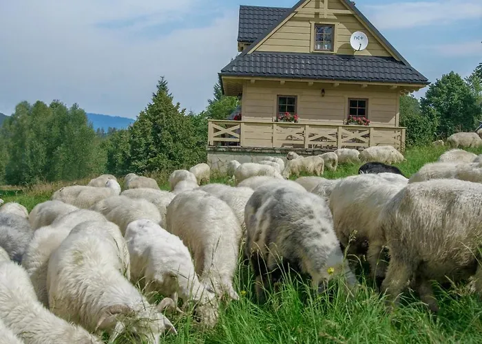 Anielskie - Z Widokiem Na Gory * Sablówka